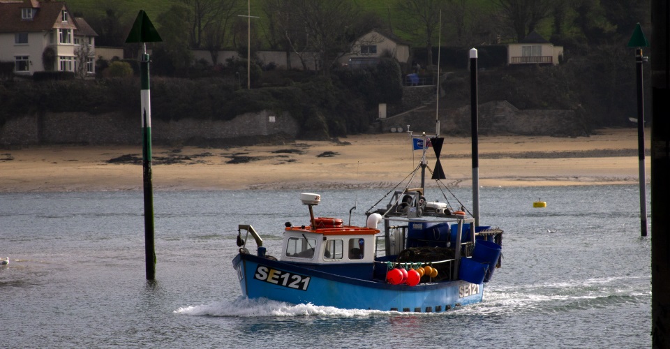 salcombe